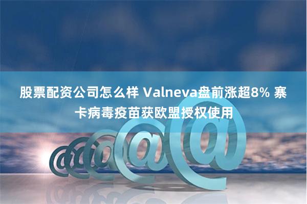 股票配资公司怎么样 Valneva盘前涨超8% 寨卡病毒疫苗获欧盟授权使用